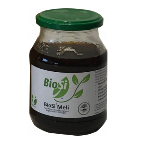 BioSi®Meli – Saccharium officinarum - Nährlösung - 0,5 Liter/10 Liter